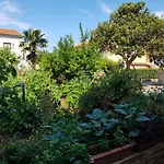 Casa Angelina * Ρόβινι